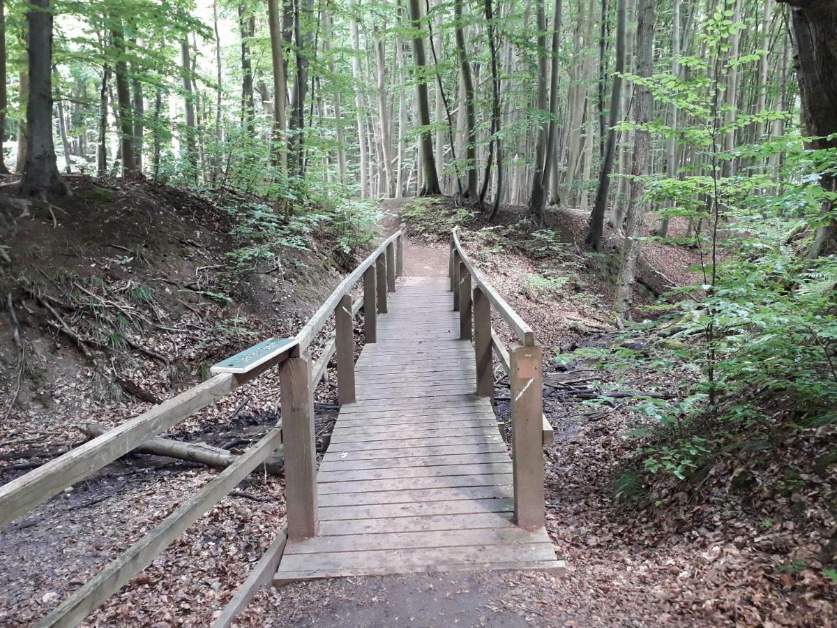 Ferienwohnung Wellenreiter Sassnitz Dış mekan fotoğraf